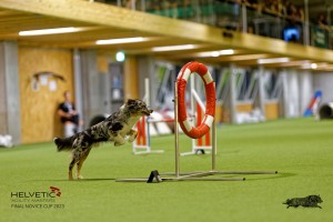 1T0A2517_DxO