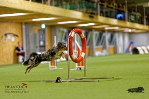 1T0A2518_DxO