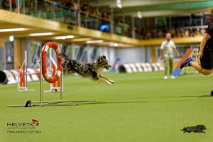 1T0A2523_DxO