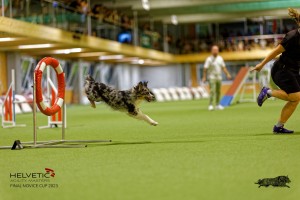 1T0A2524_DxO