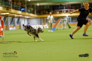 1T0A2526_DxO