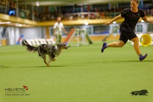 1T0A2528_DxO