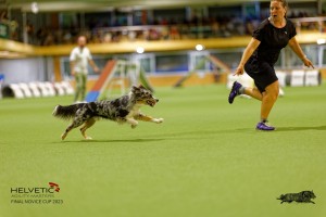 1T0A2530_DxO