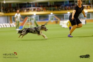 1T0A2531_DxO