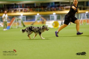 1T0A2533_DxO