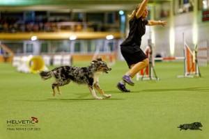 1T0A2538_DxO