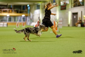 1T0A2541_DxO