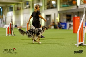 1T0A2545_DxO