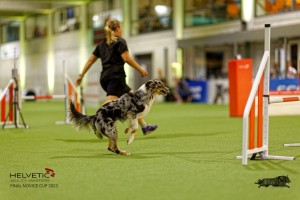 1T0A2546_DxO