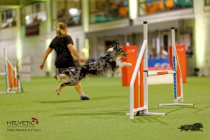 1T0A2549_DxO