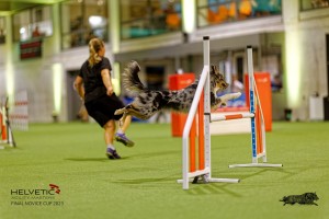 1T0A2551_DxO