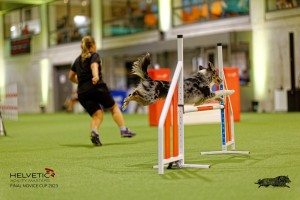 1T0A2552_DxO