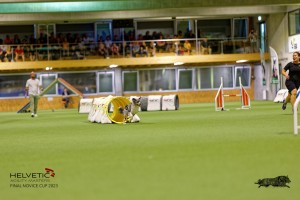1T0A2567_DxO