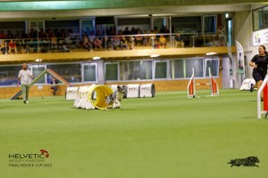 1T0A2568_DxO