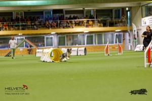 1T0A2569_DxO
