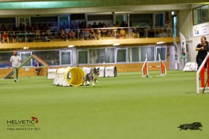 1T0A2570_DxO