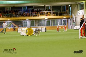 1T0A2571_DxO