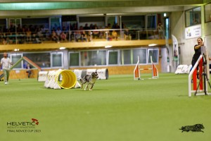 1T0A2572_DxO