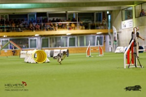1T0A2574_DxO