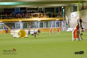 1T0A2575_DxO