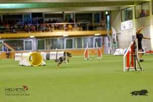 1T0A2576_DxO