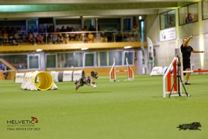 1T0A2577_DxO