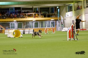 1T0A2578_DxO