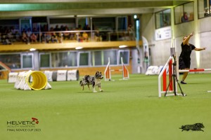 1T0A2579_DxO