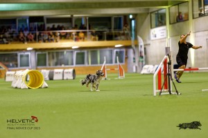 1T0A2580_DxO
