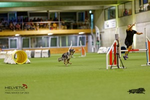 1T0A2581_DxO