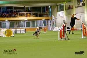 1T0A2582_DxO