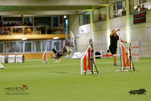 1T0A2586_DxO
