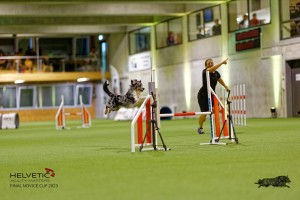 1T0A2589_DxO