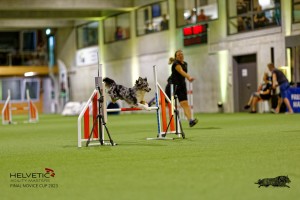 1T0A2594_DxO