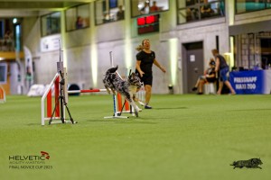 1T0A2597_DxO
