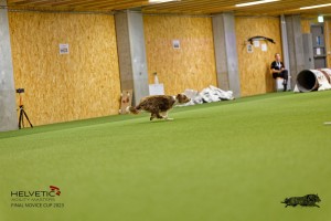 1T0A2685_DxO