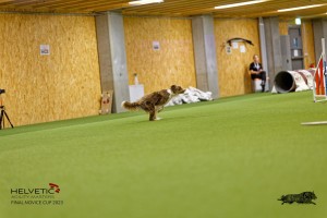 1T0A2686_DxO