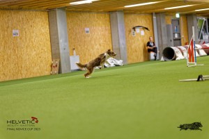 1T0A2687_DxO