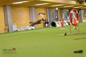 1T0A2690_DxO