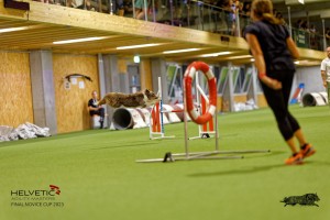1T0A2694_DxO
