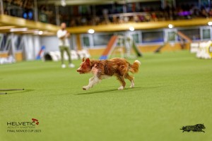 1T0A2718_DxO