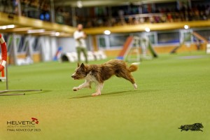 1T0A2720_DxO