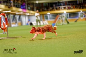 1T0A2721_DxO