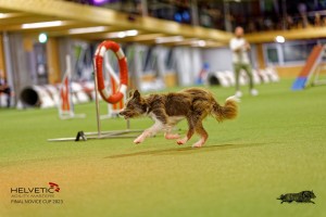 1T0A2726_DxO
