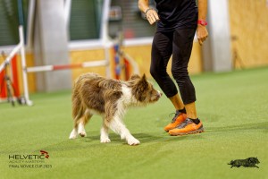1T0A2728_DxO