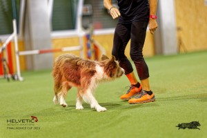 1T0A2729_DxO
