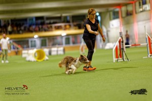 1T0A2770_DxO