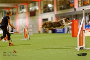 1T0A2785_DxO