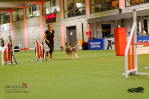 1T0A2803_DxO