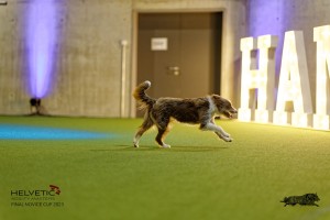 1T0A2808_DxO